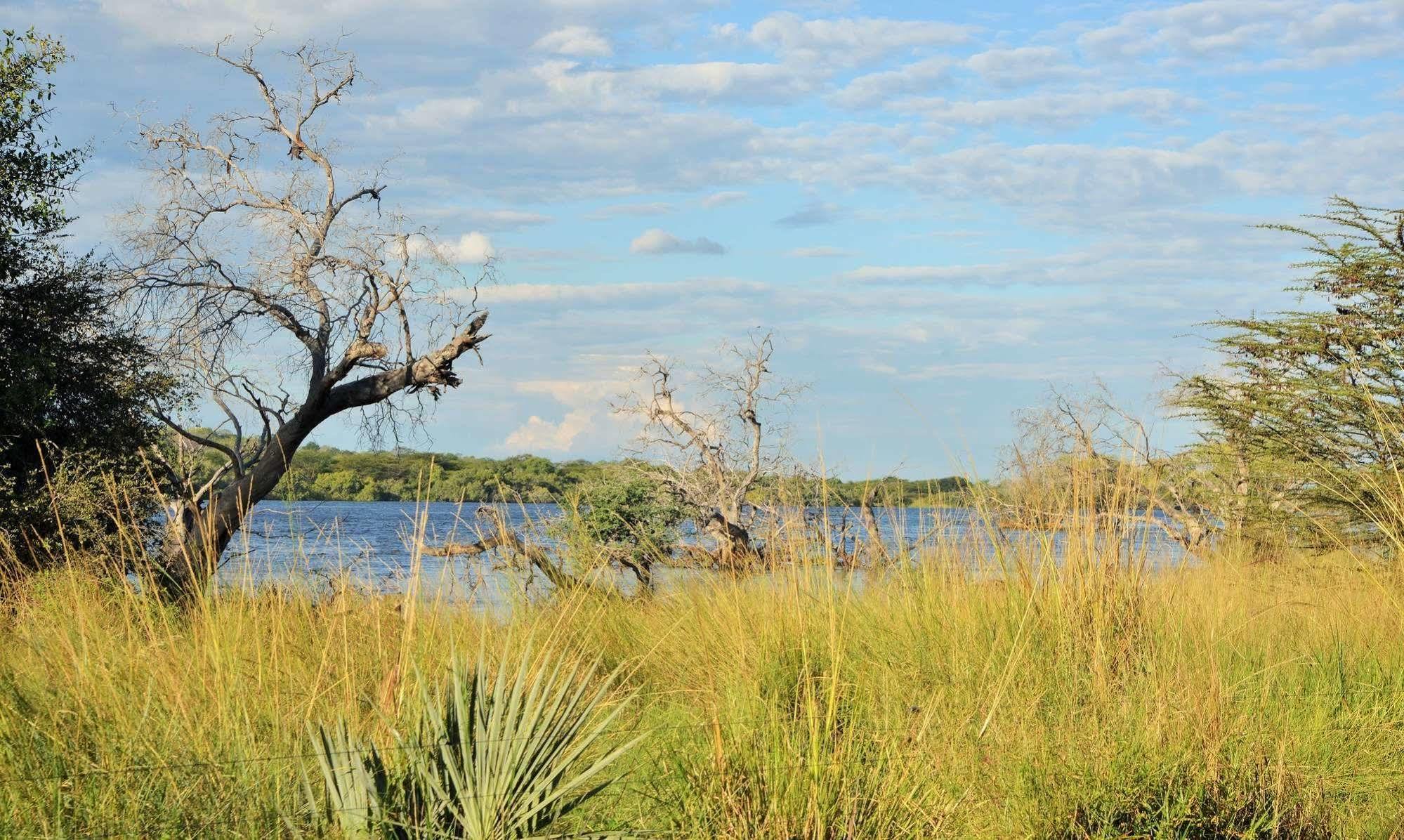 Thebe River Safaris Kasane Ngoại thất bức ảnh